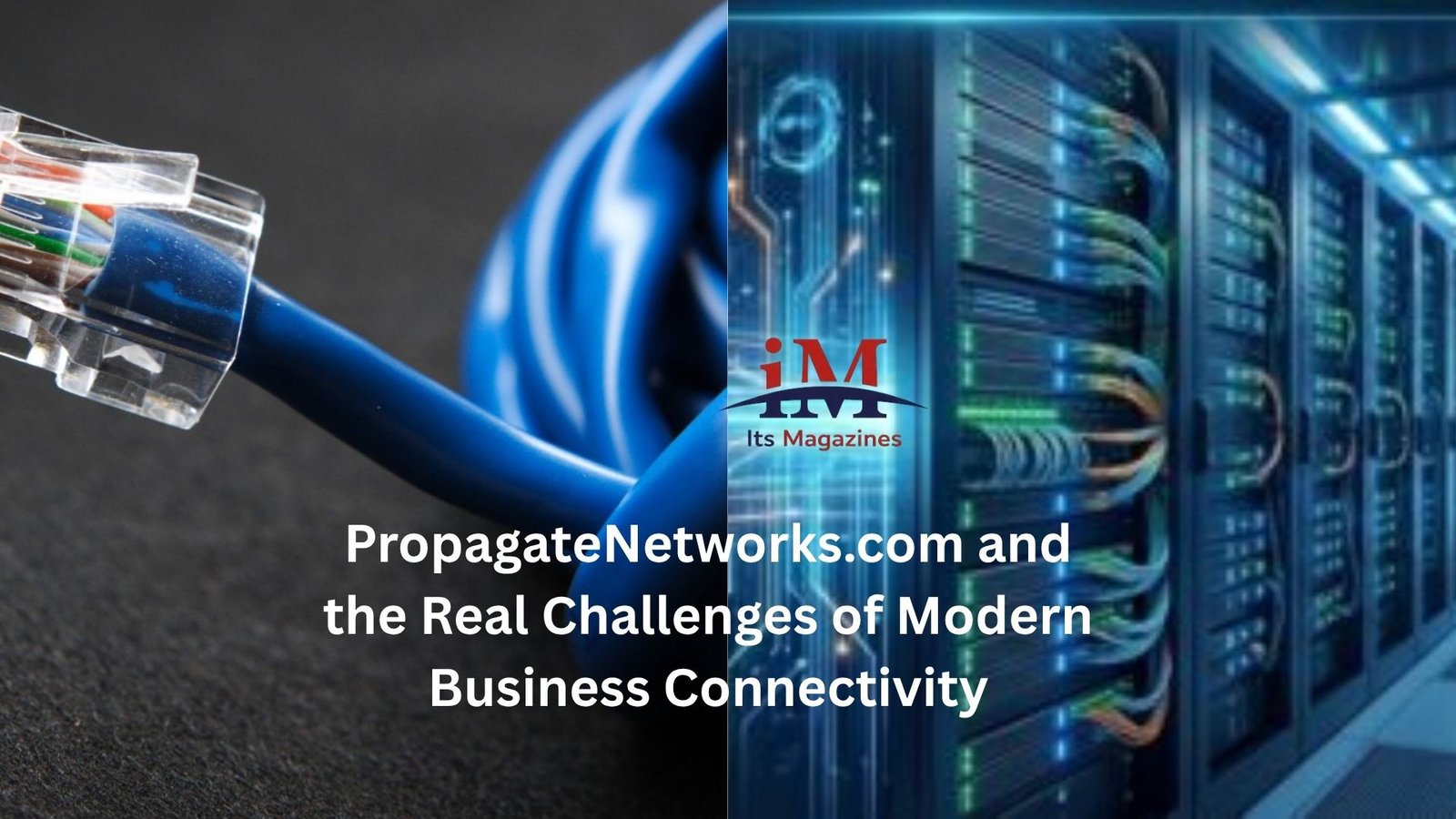 PropagateNetworks.com and the Real Challenges of Modern Business Connectivity