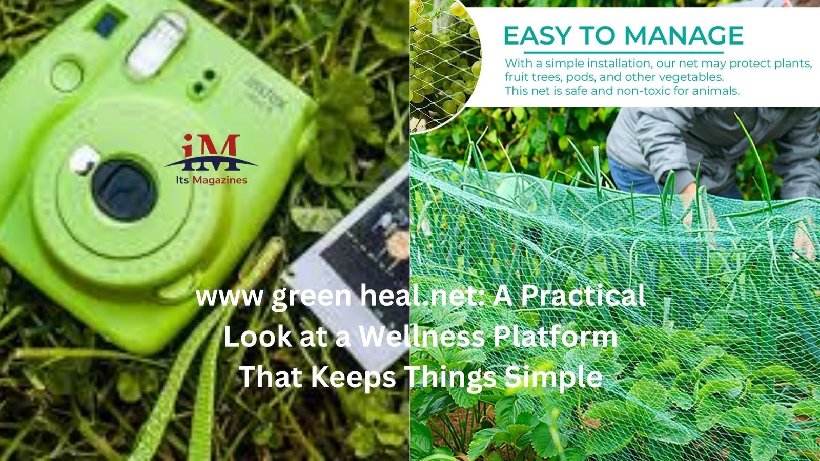 www green heal.net