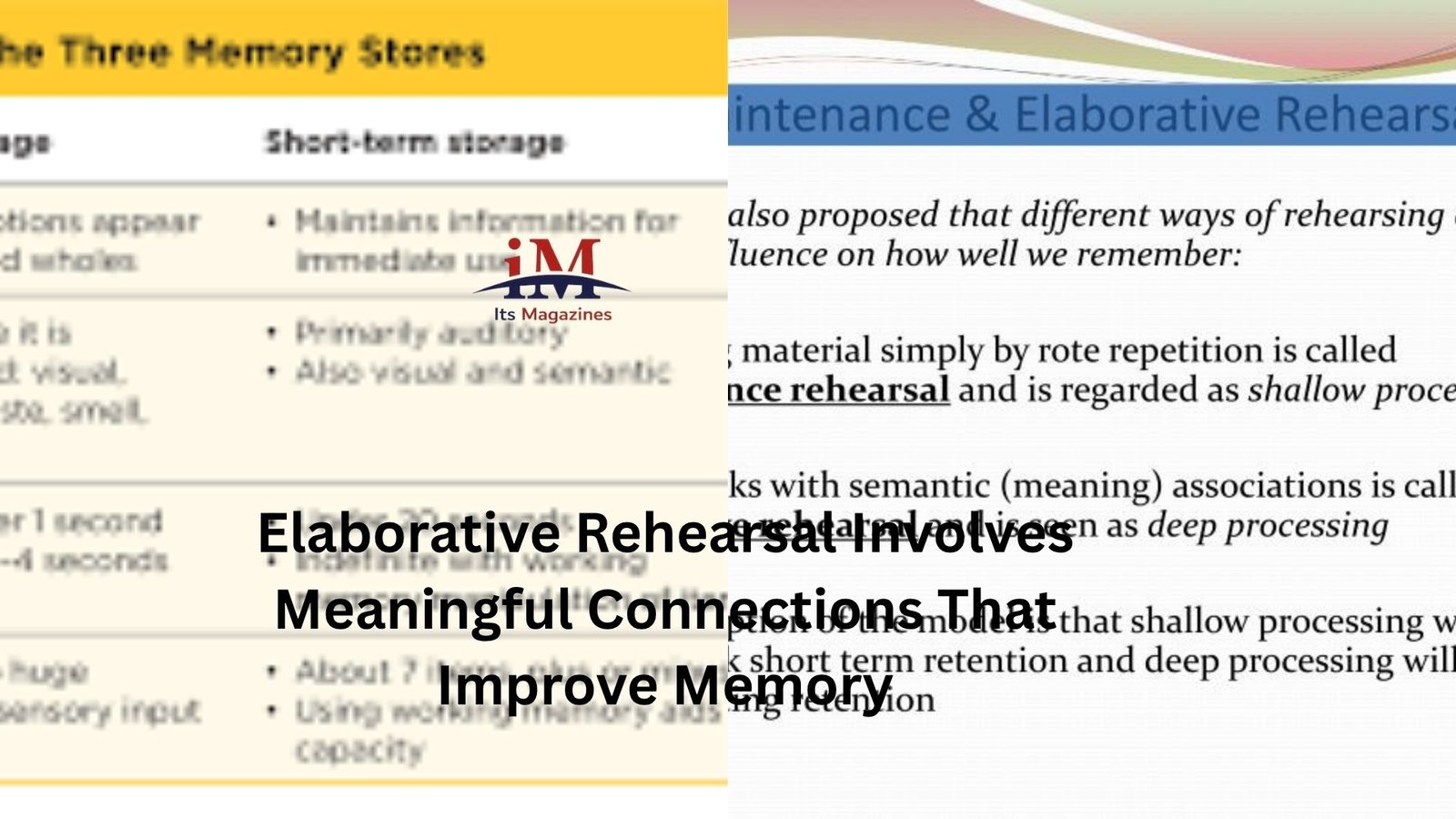 Elaborative Rehearsal Involves Meaningful Connections That Improve Memory